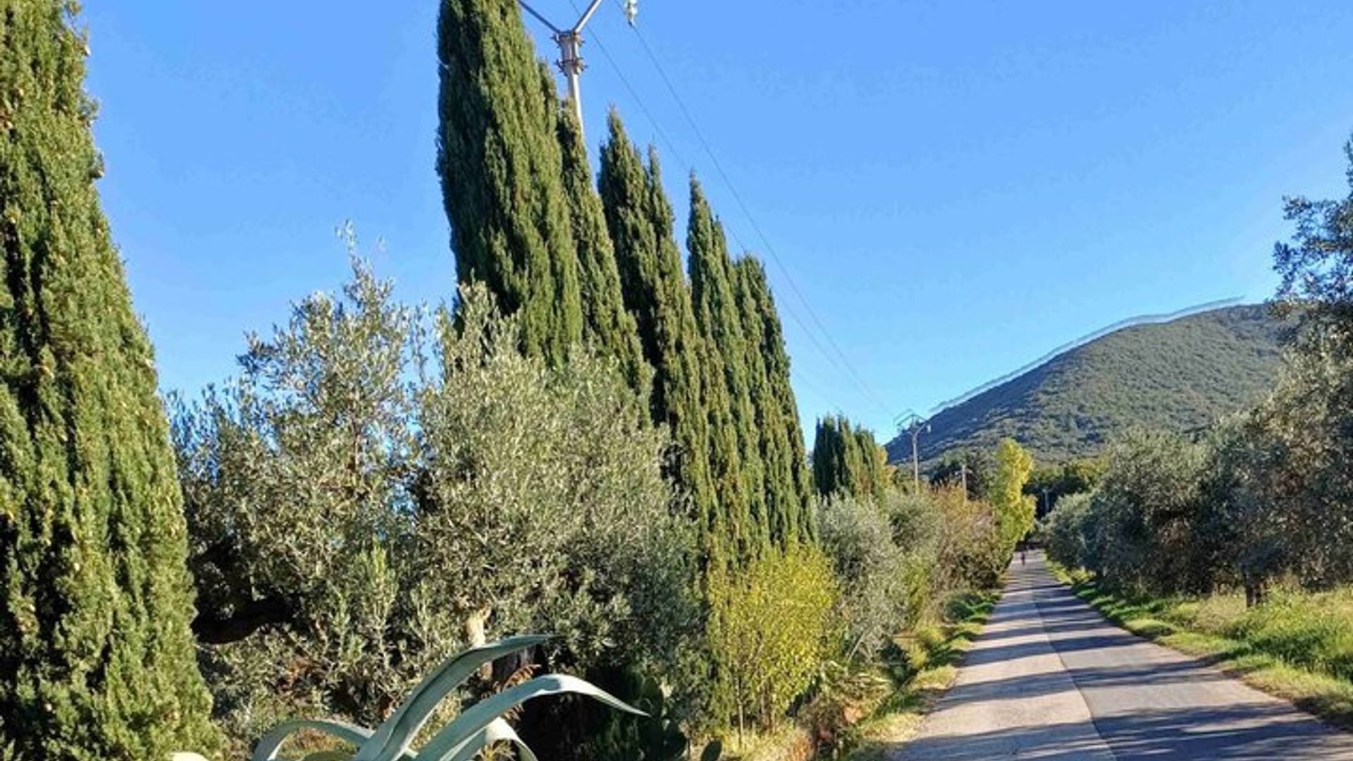From Terme di Venturina to the Tuscan village of Suvereto