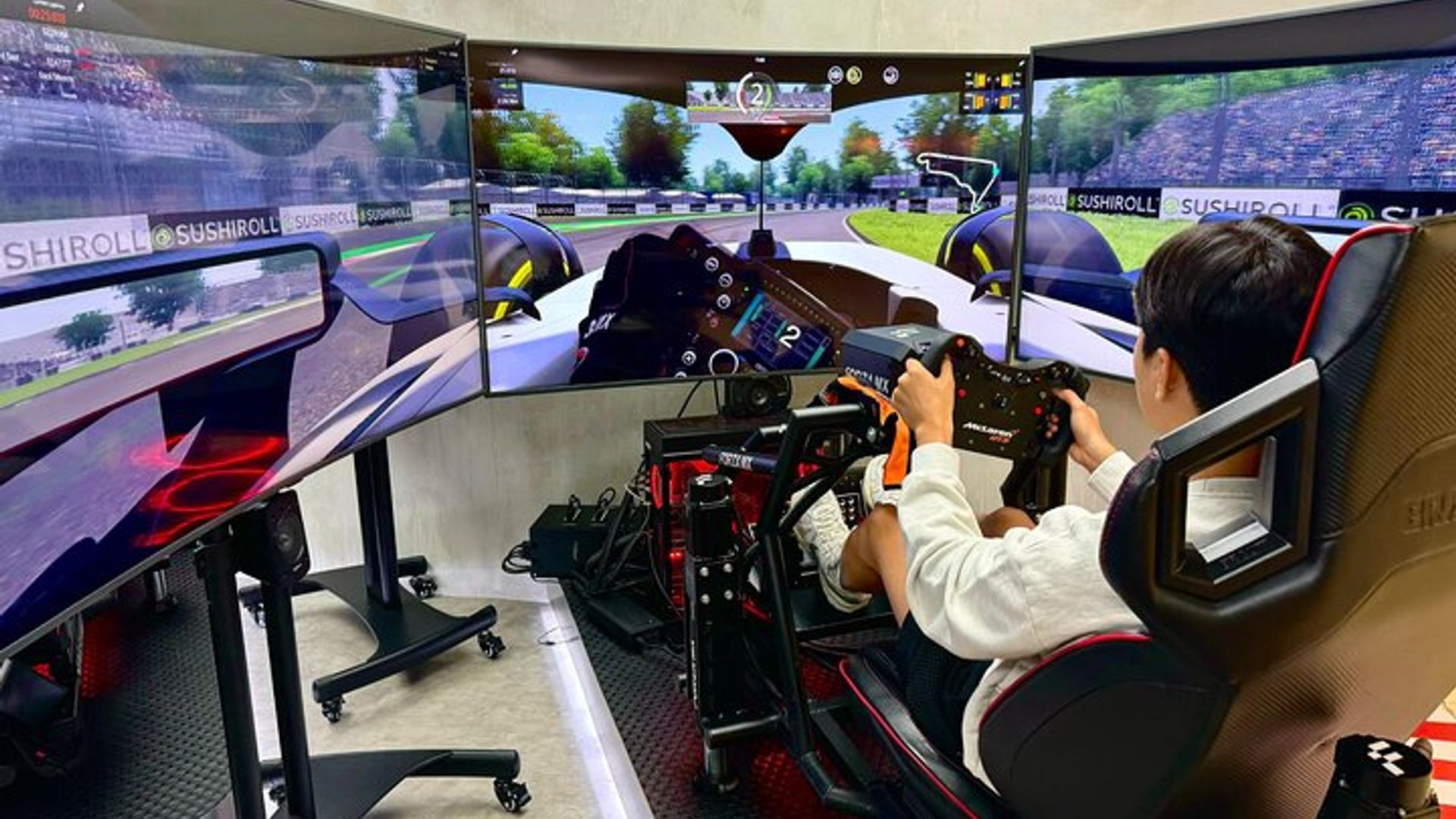 Professional racing simulator image 3