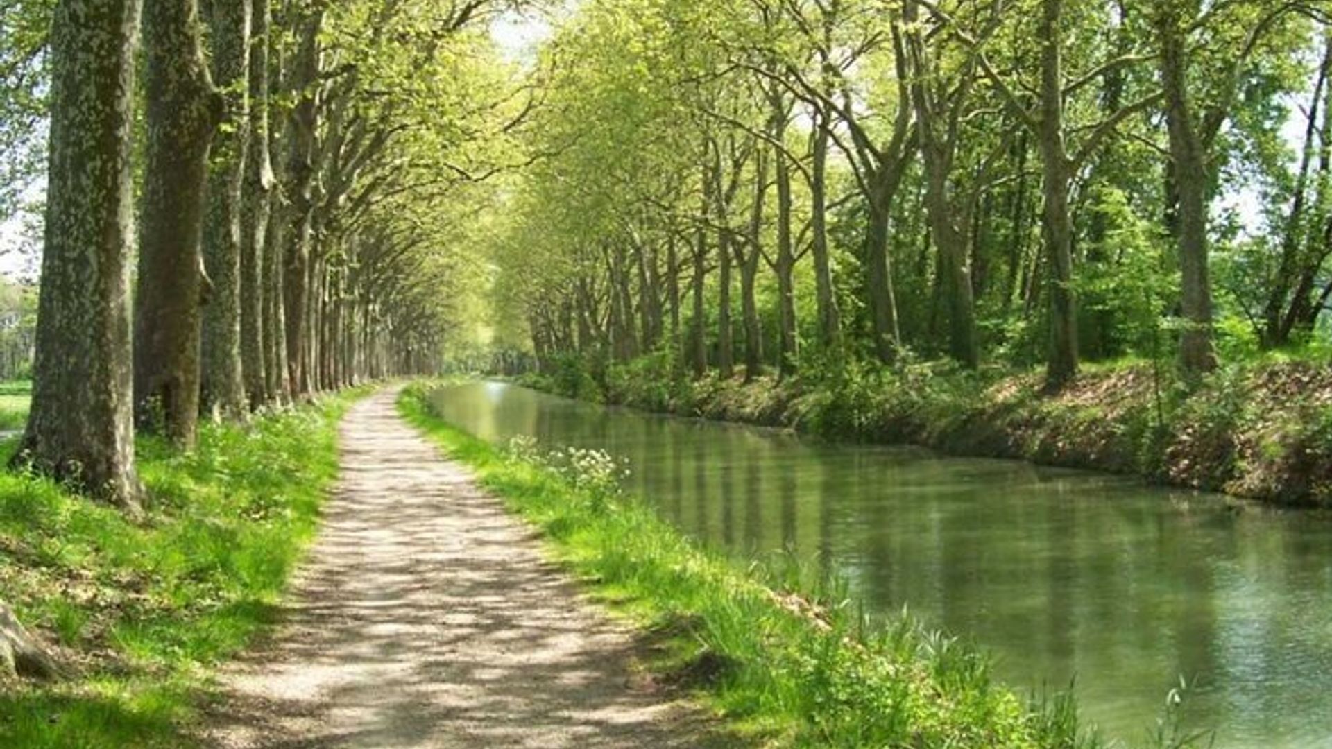 Panoramic Toulouse: E-Bike Tour with Cable Car Experience