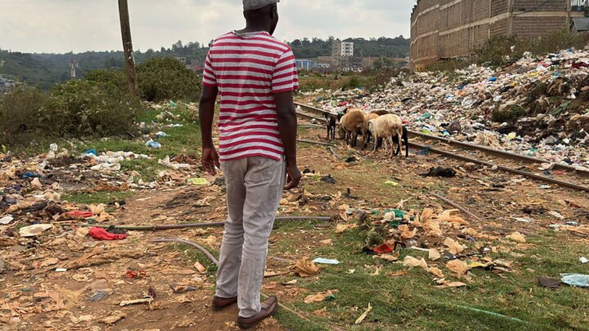 Kibera Slum Tour with a Local