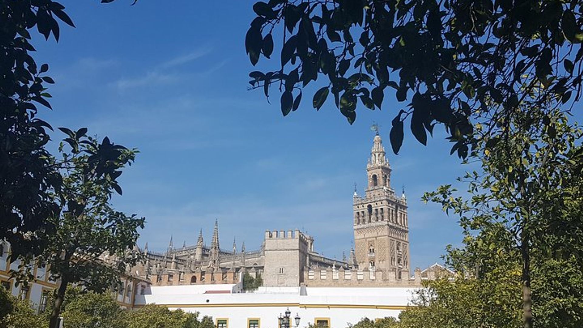 Alcazar und Kathedrale von Sevilla Tour mit Skip the Line Tickets