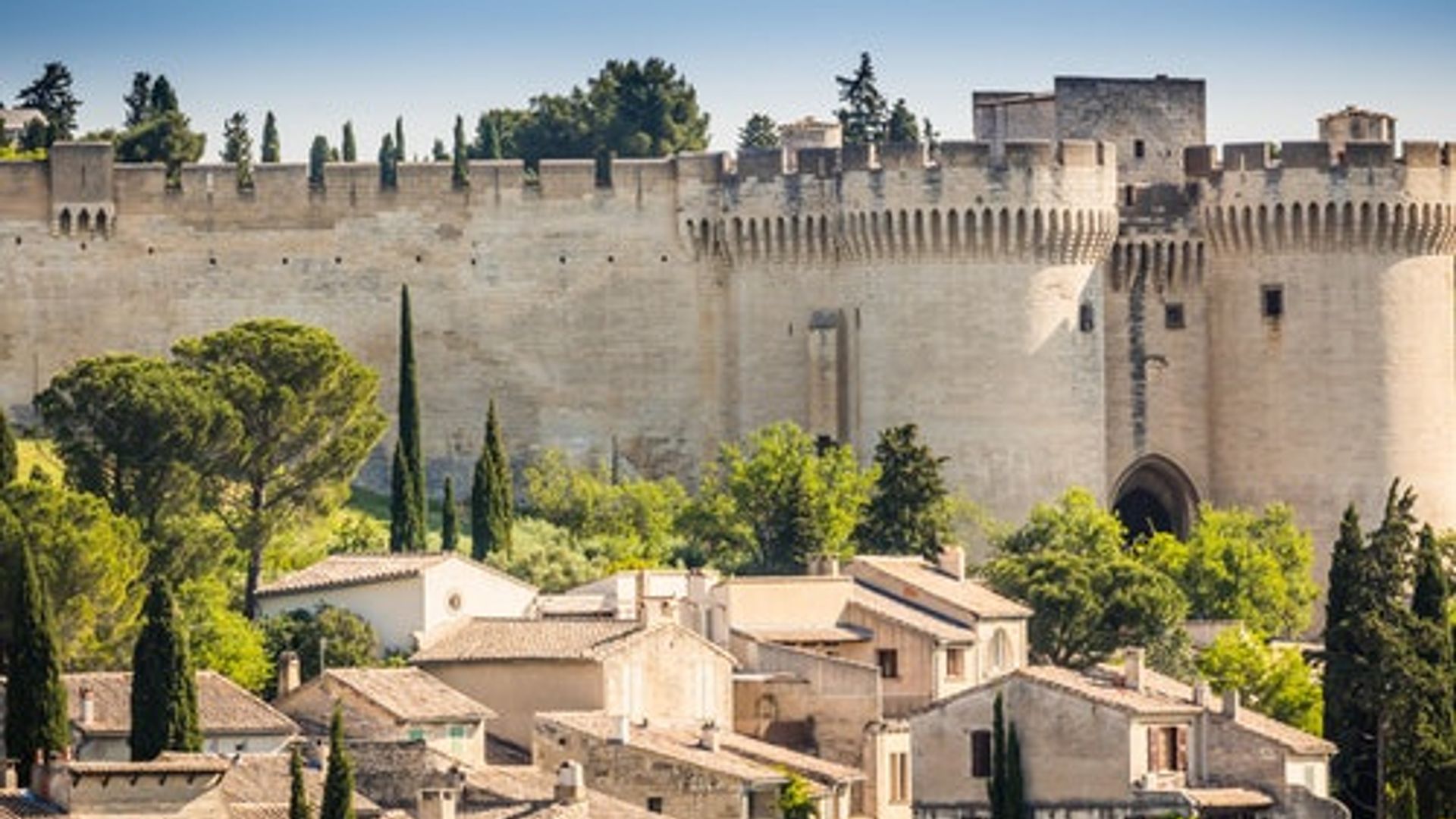 Fort Saint-André: Entry Ticket