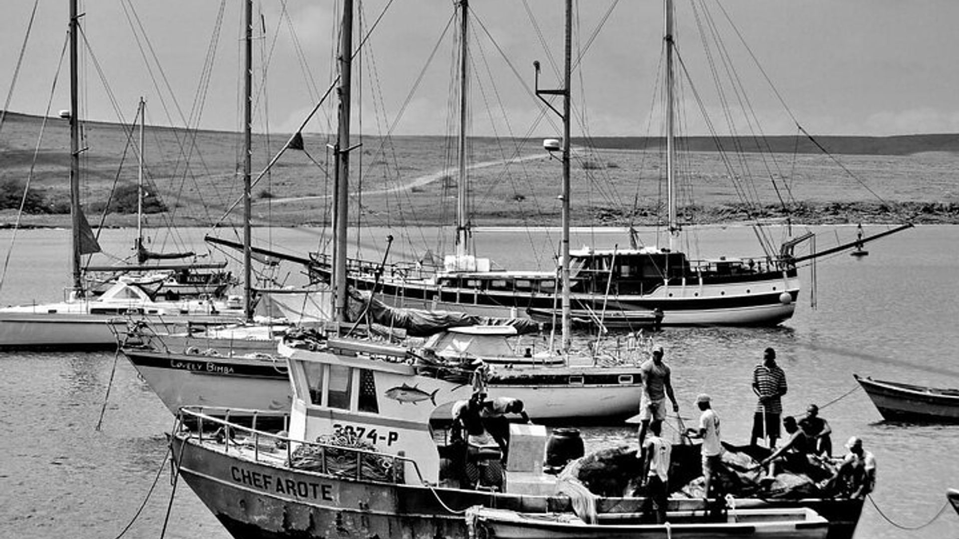Excursion d'une journée complète sur l'île de Sal à Santa Maria
