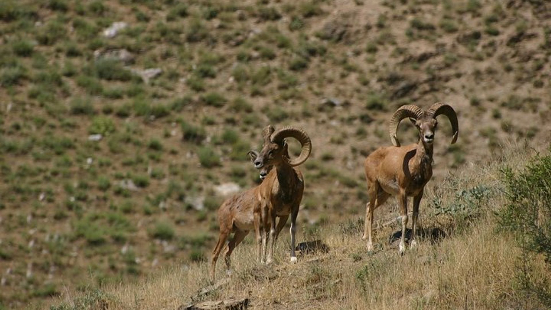 Bukhara 4-Day Small-Group Hiking Tour to Hayat and Villages