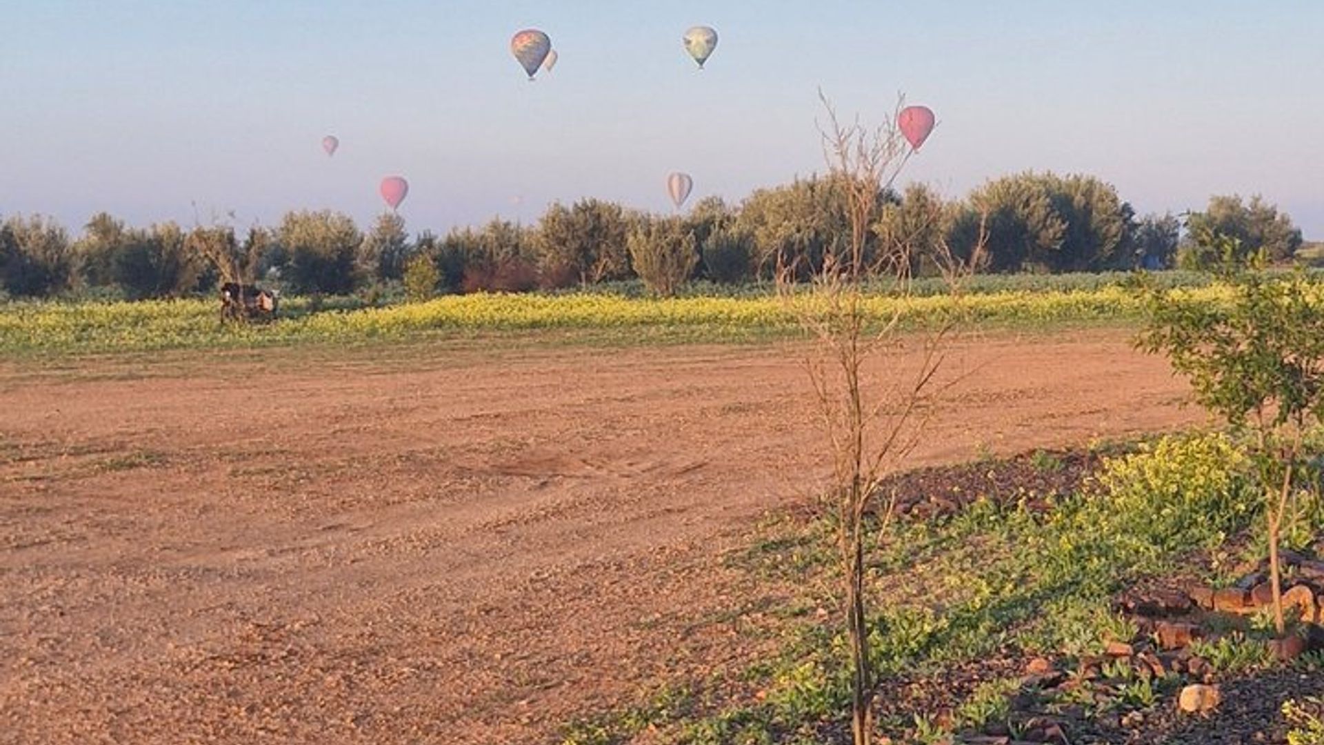 Marrakesch: Heißluftballonfahrt bei Sonnenaufgang mit Frühstück