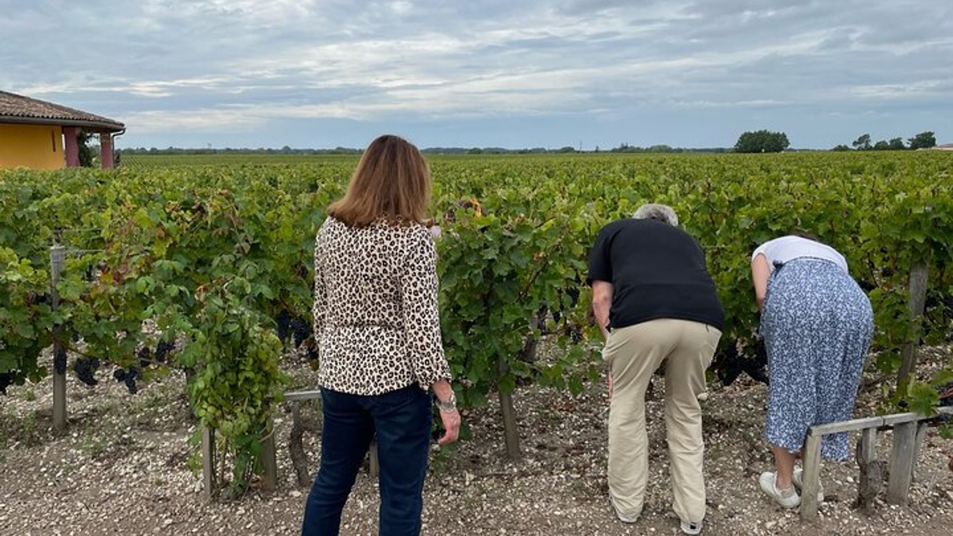 Tour Privé et visites sur la Route des Châteaux du Médoc (Minivan Luxe)