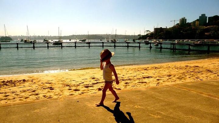 Morning or Afternoon Highlights Tour in Sydney with a Local Guide