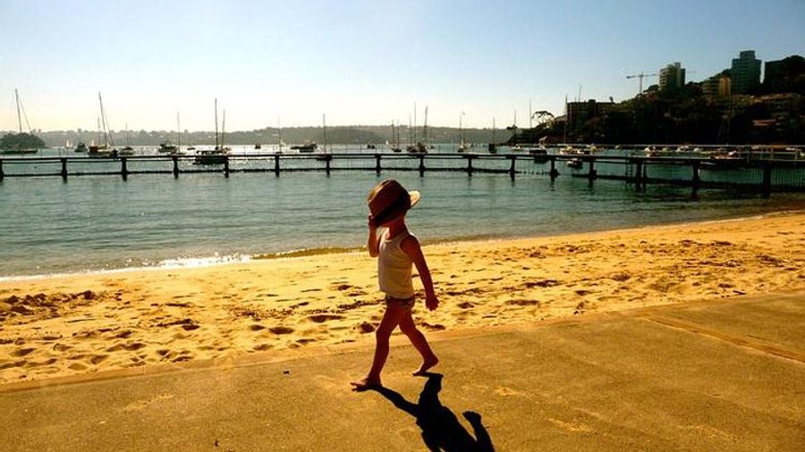 Morning or Afternoon Highlights Tour in Sydney with a Local Guide