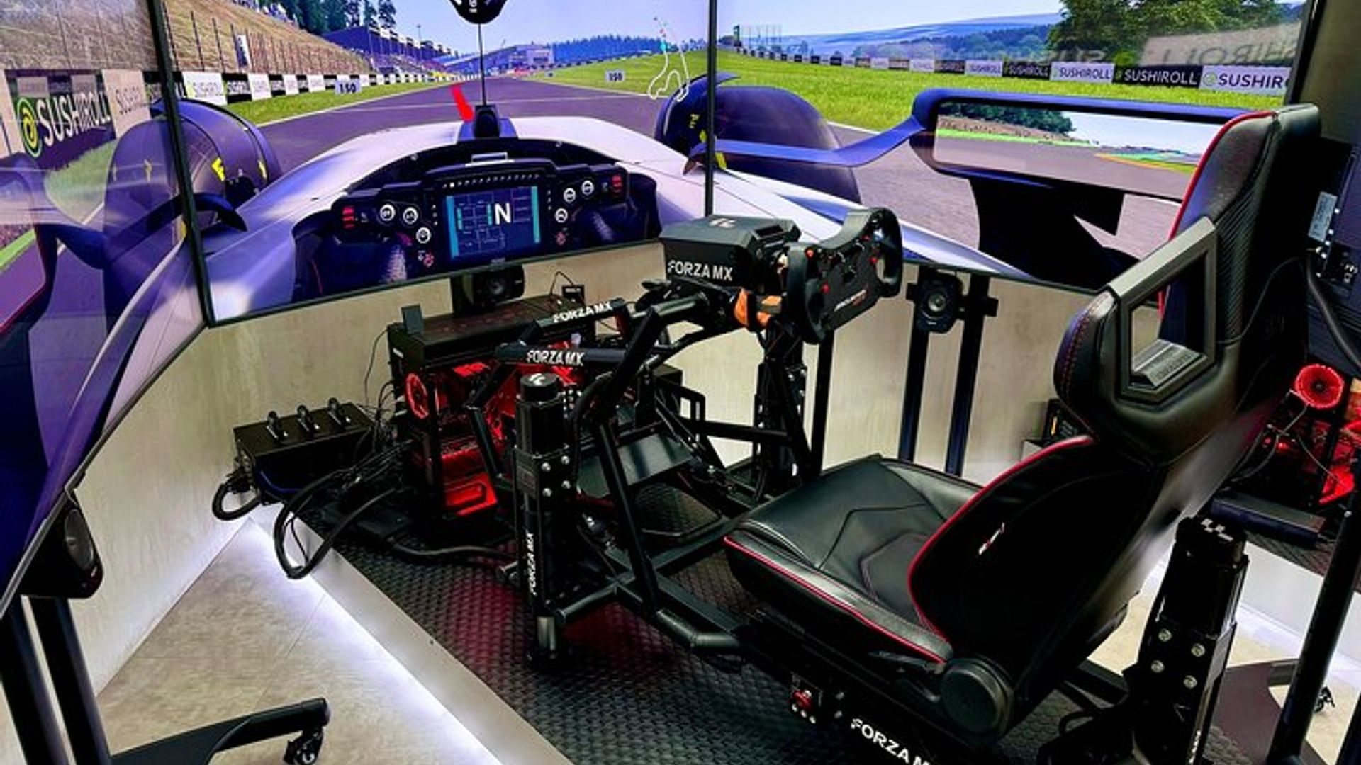 Professional racing simulator image 1