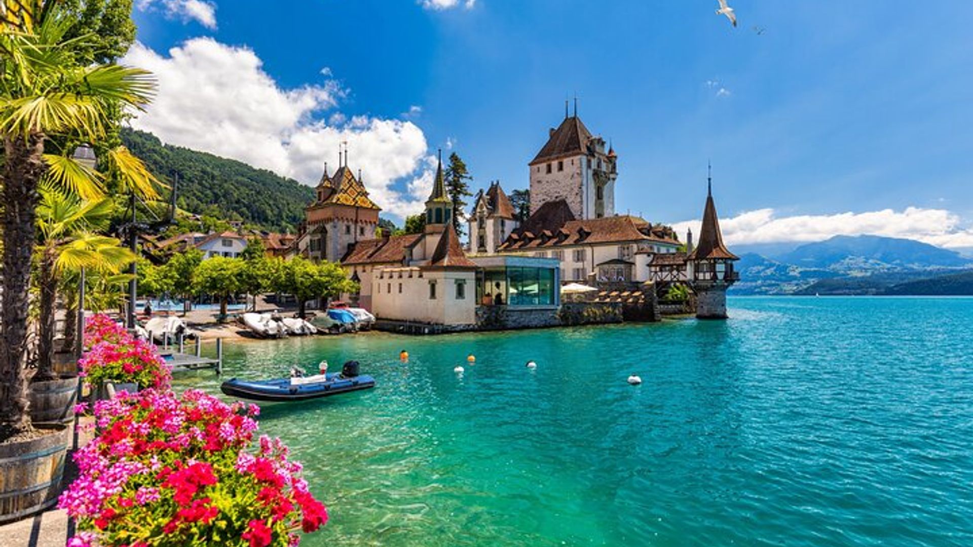 Von Luzern : Thuntour, Beatushöhlen, Seekreuzfahrt und Käse