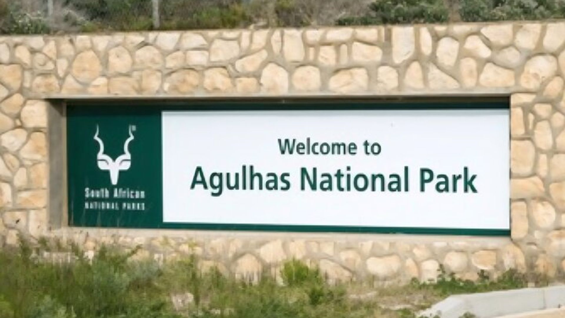 The Edge of Africa Cape Agulhas Expedition