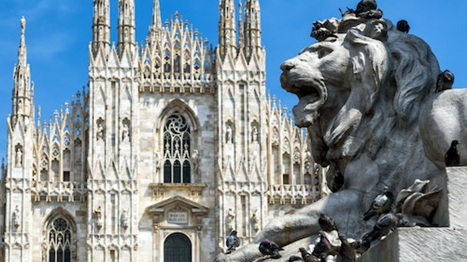 Duomo di Milano: Fast Track To Rooftop and Optional Duomo Complex Ticket