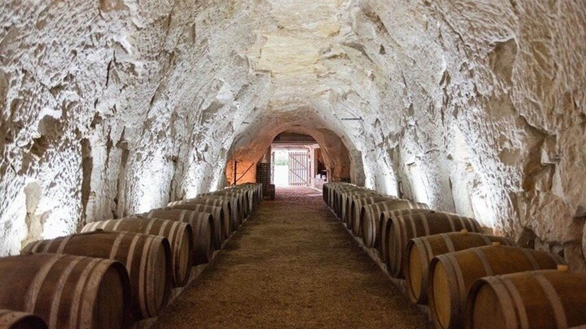 From Vine to Wine at Domaine Beaumont Distré-Saumur