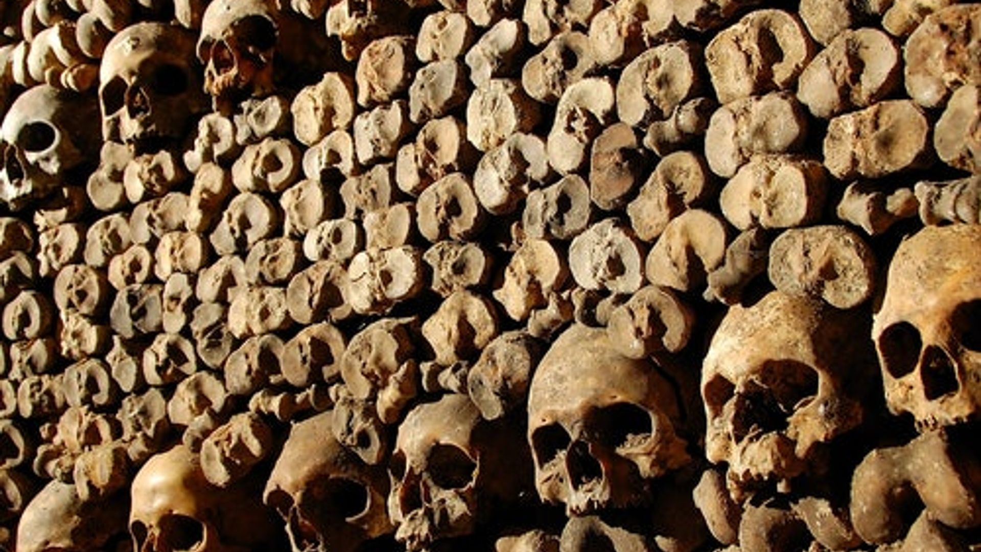 Catacombs of Paris & Audio Guide