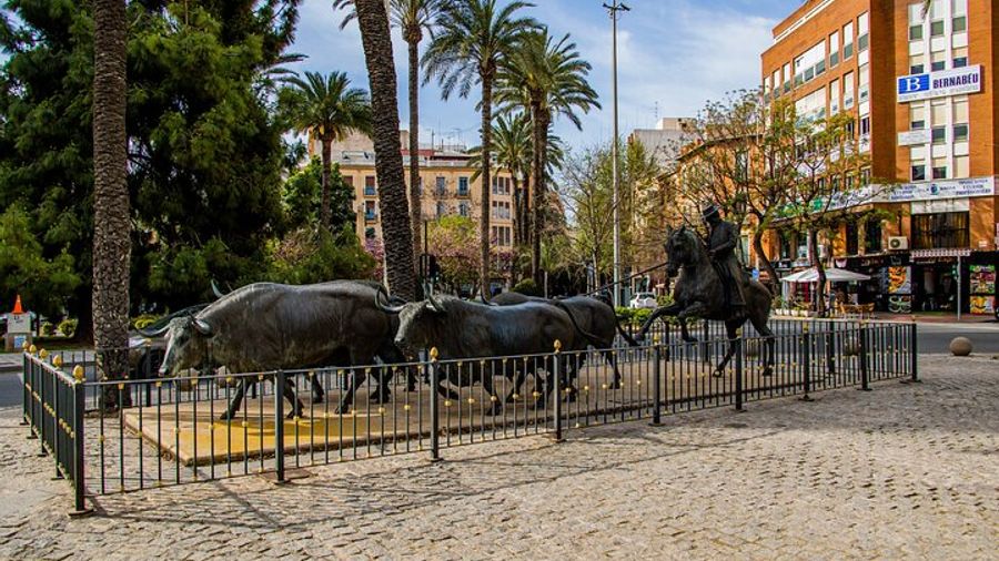 Alicante: Visit with Audio Guide Bullring and Bullfighting Museum