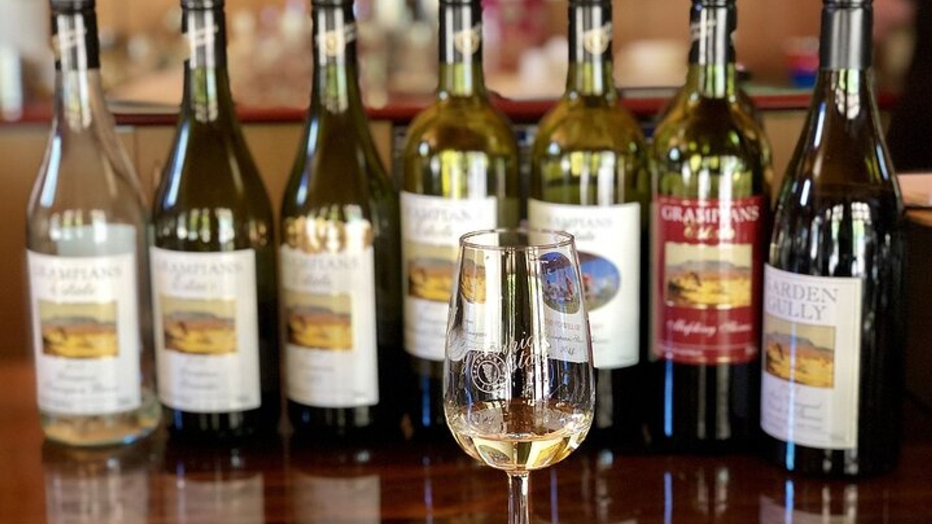 Verona Private Food & Wine Experience with Amarone