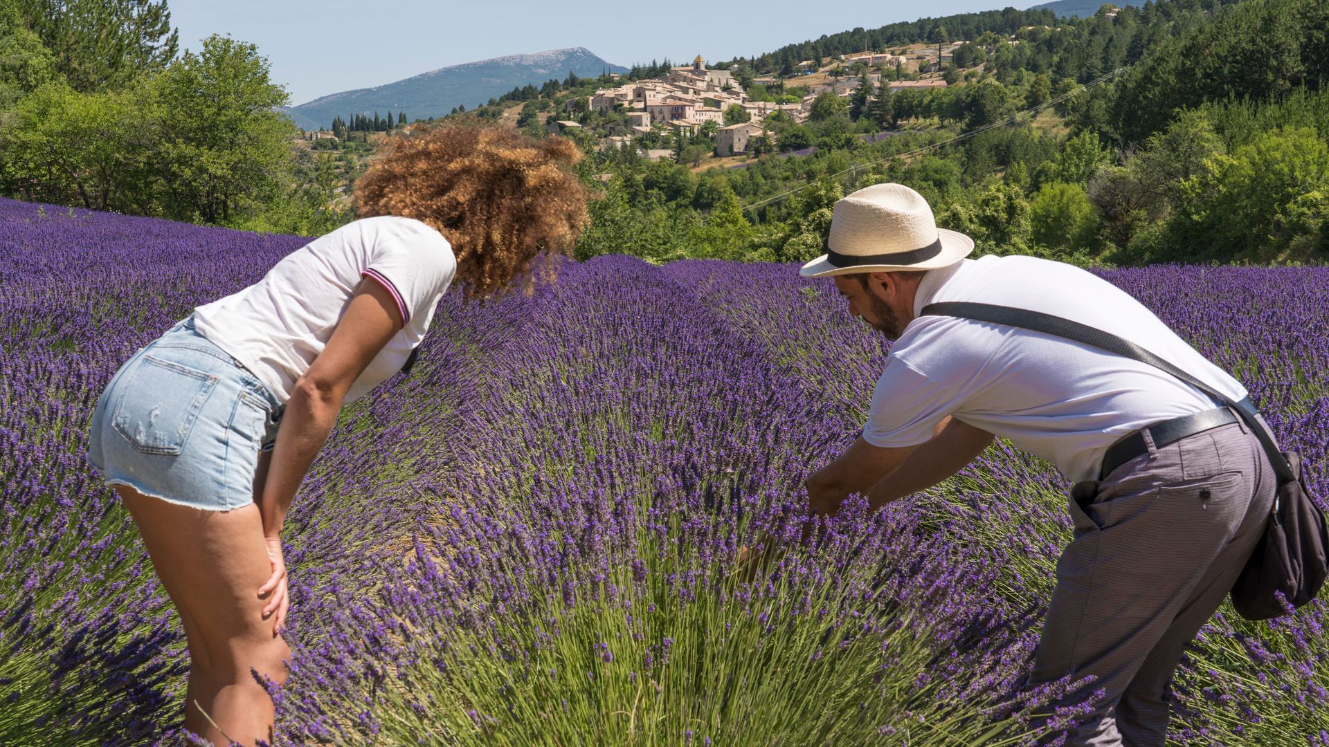 Lavendel Morgentour Sault