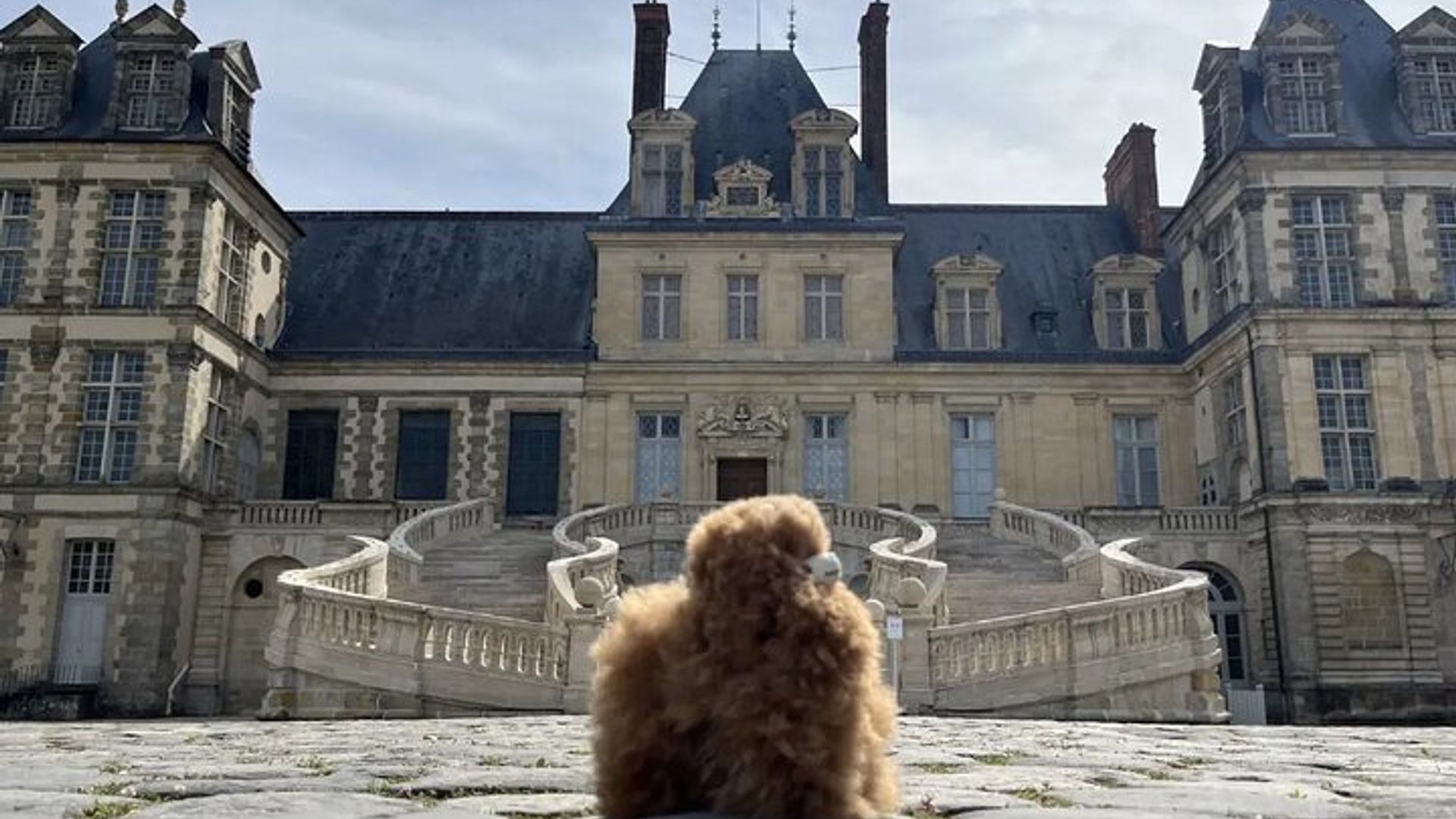 Château de Fontainebleau Half-Day Tour