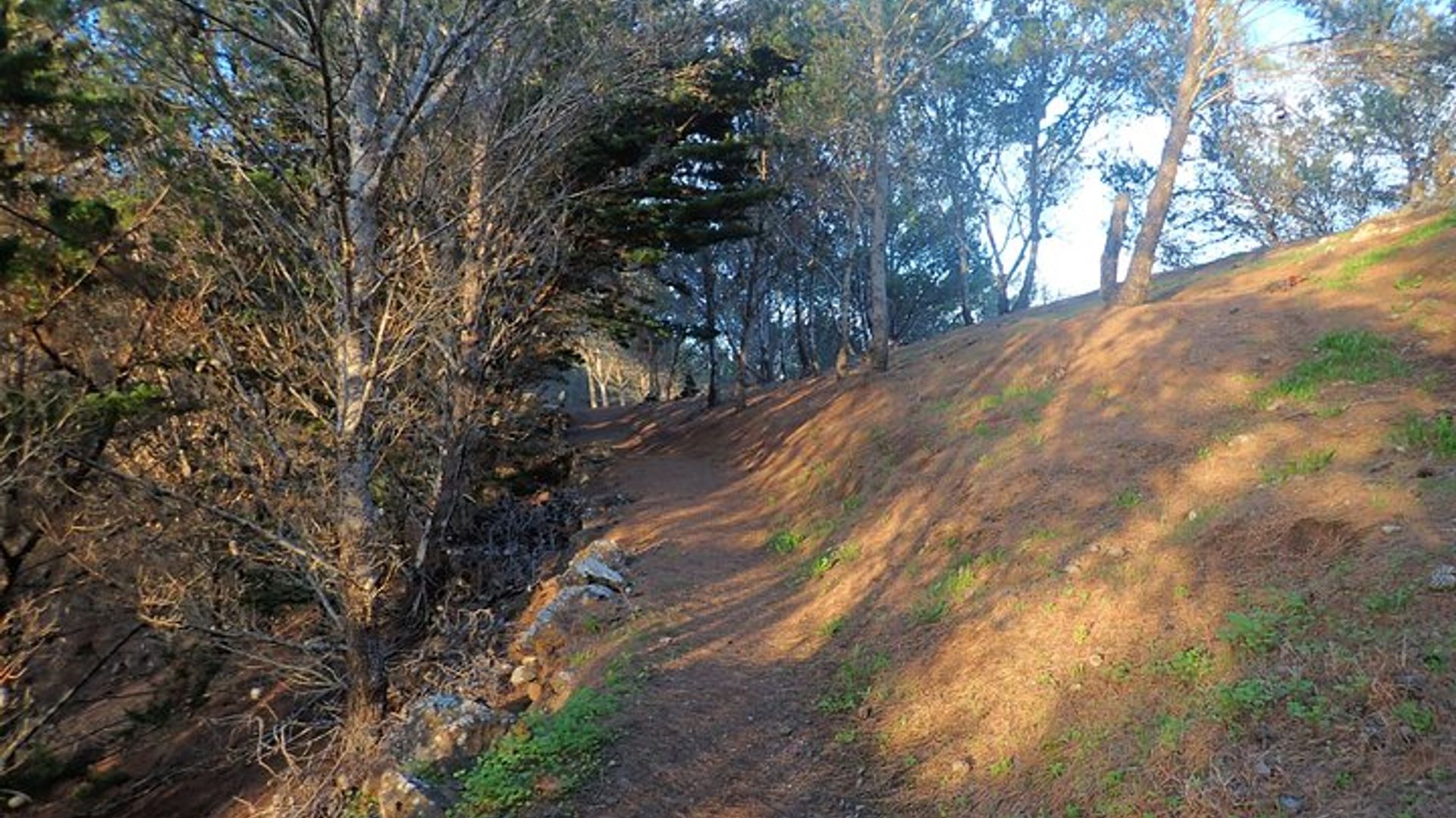 Pico do Facho Panoramic Trail