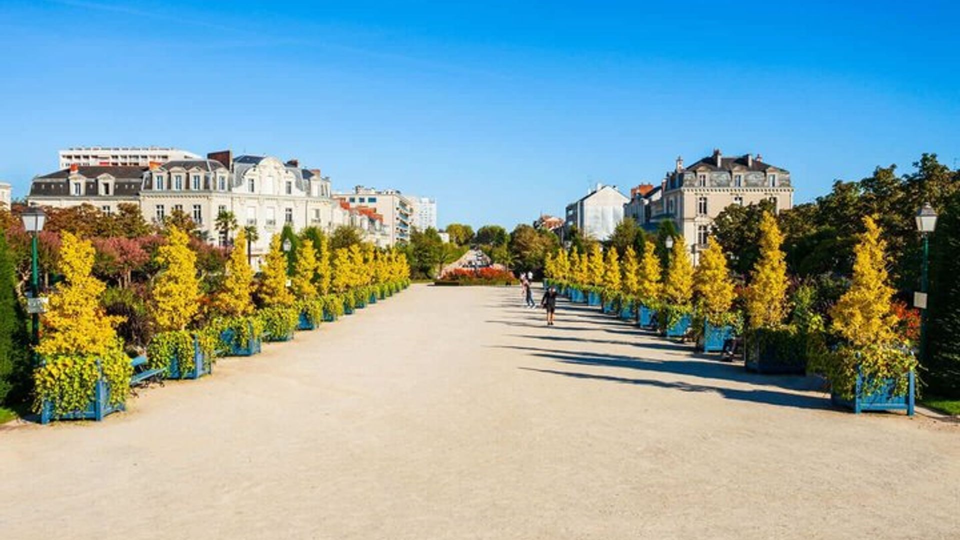 Bonjour Angers : Promenade privée de 2 heures en ville avec Guide local