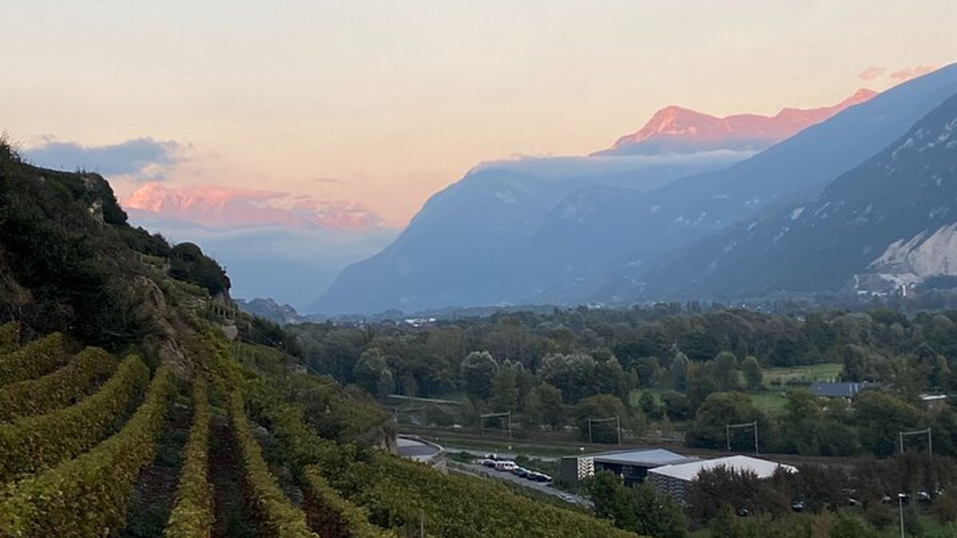 Wein- und Speisespaziergang durch die Weinberge in Sion