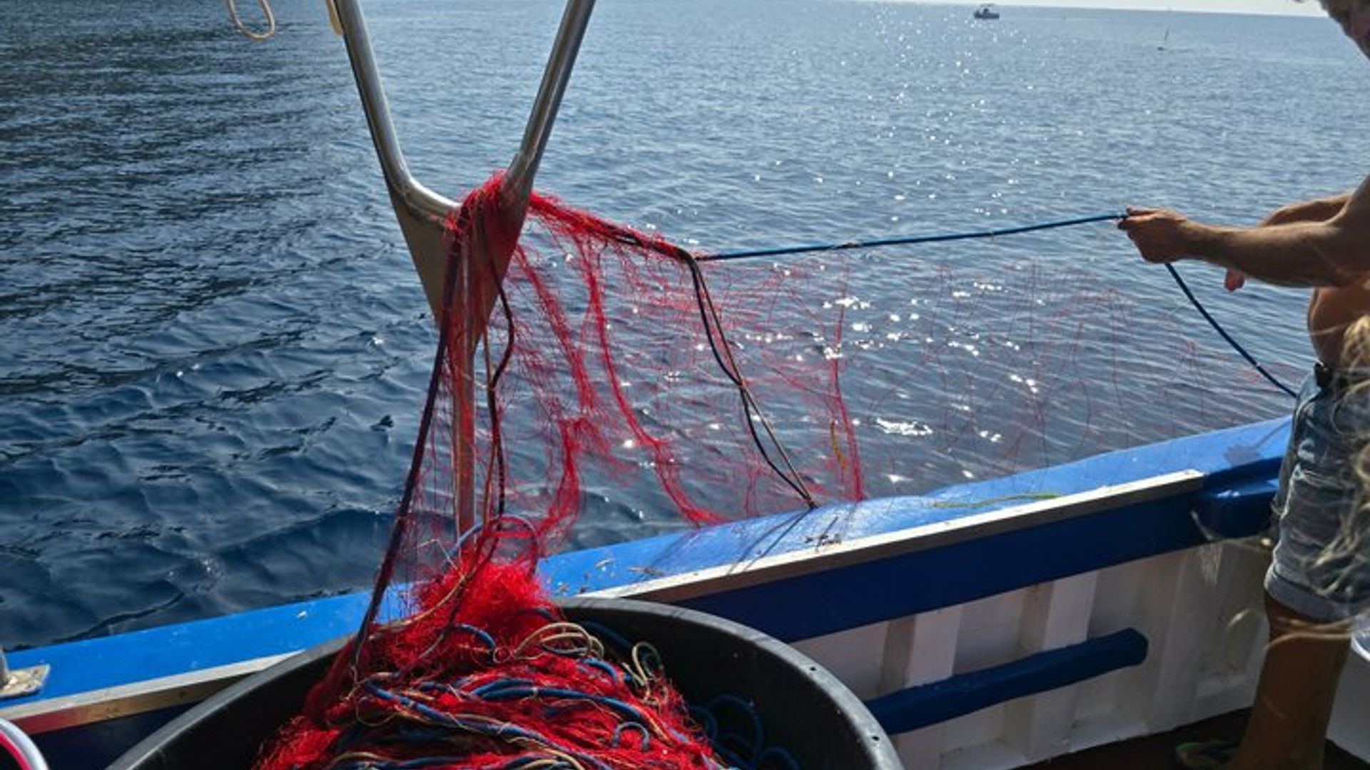 Angeltourismus auf der Insel Elba mit Mittagessen an Bord
