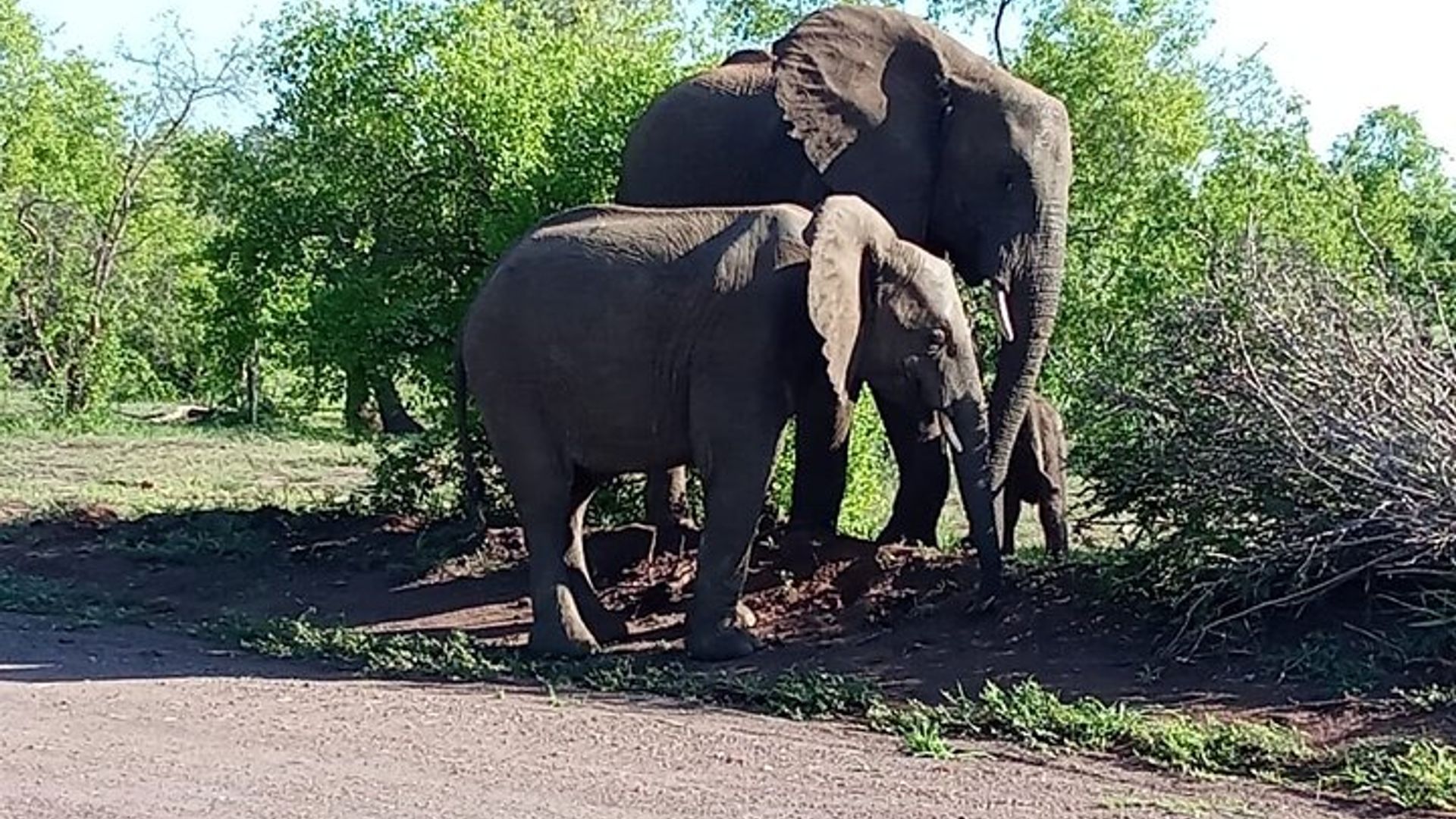 Imikino yo gukina muri parike yigihugu ya Zambezi muri Victoria iragwa