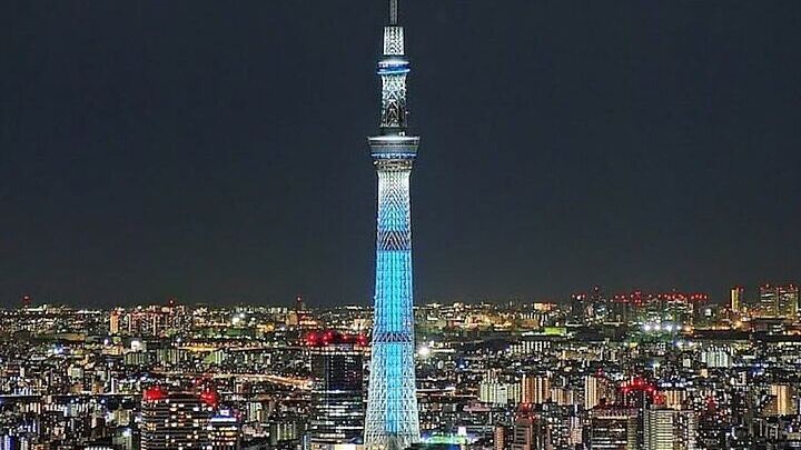 Tokyo Private Car Sightseeing Tour