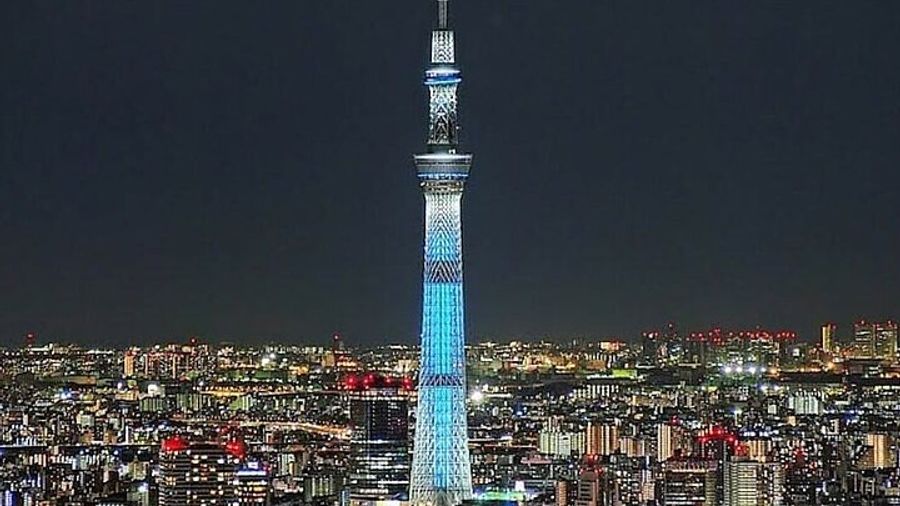 Tokyo Private Car Sightseeing Tour