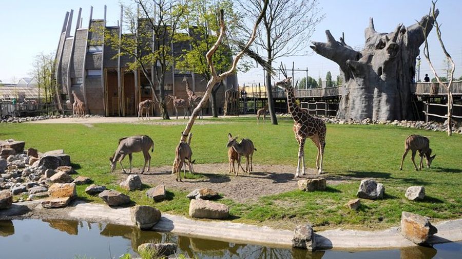 Rotterdam Zoo Diergaarde Blijdorp Direct Entrance Ticket