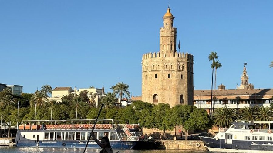 Seville Paddle Surf Group Tour