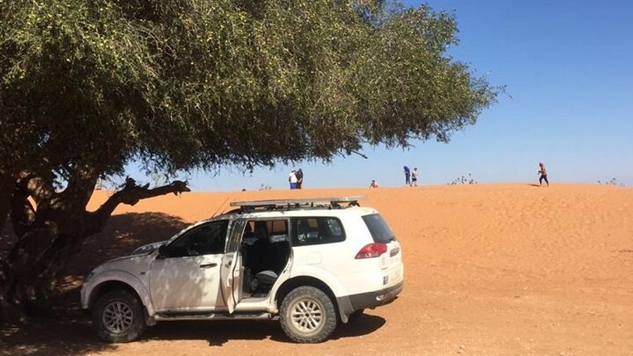 Day trip from Agadir to Massa in 4X4
