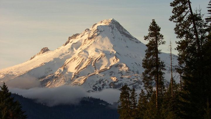 Columbia River Gorge, Mt. Hood Small-Group Tour From Portland