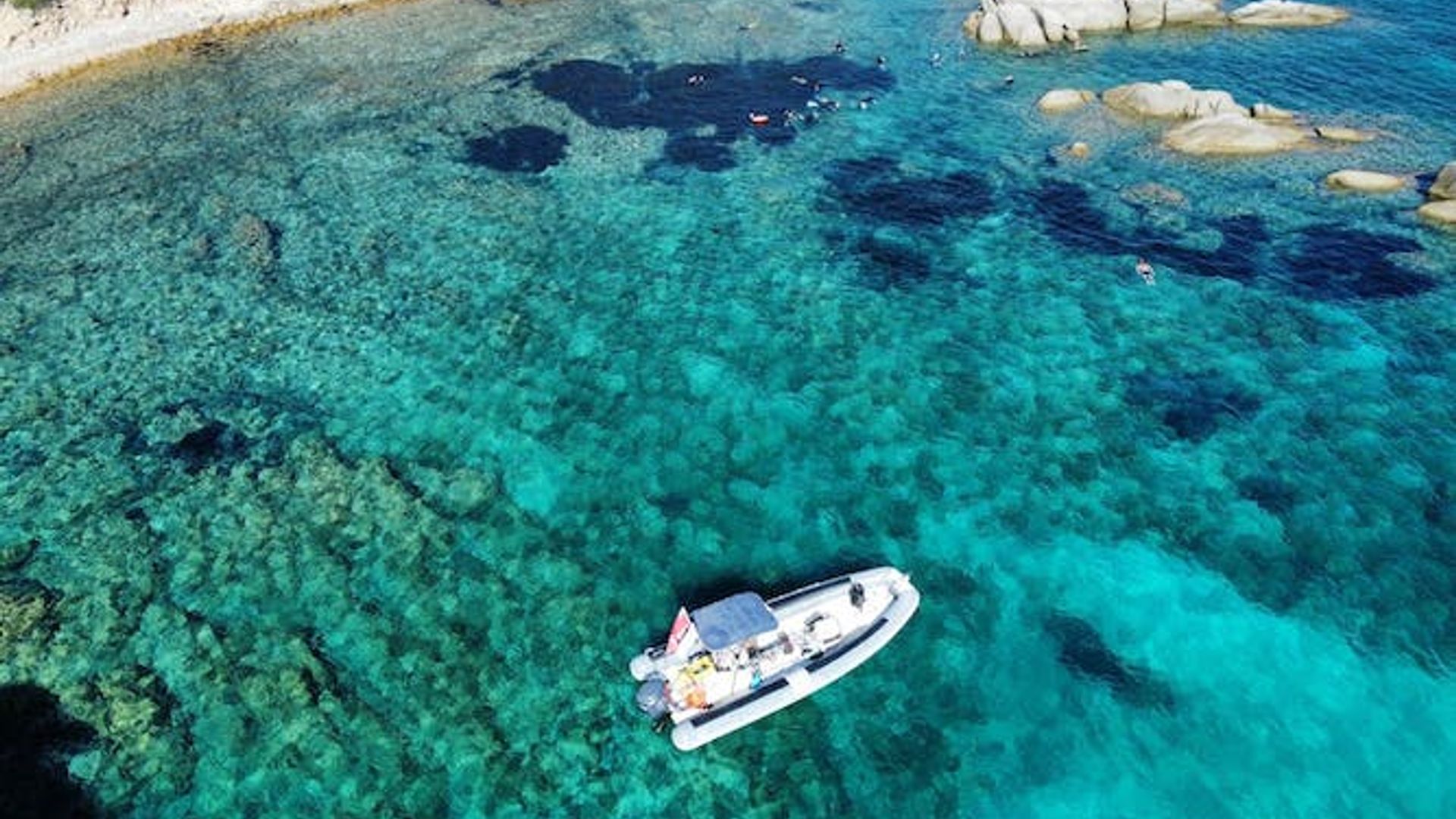 Tavolara protected area snorkeling experience from San Teodoro