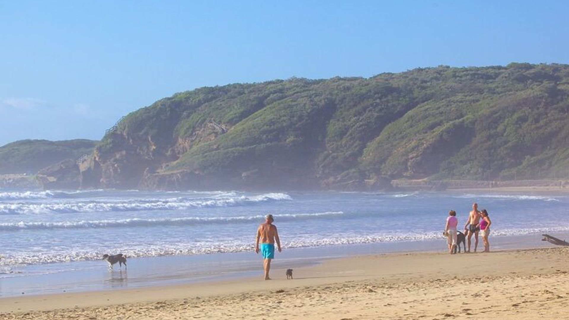 Excursion privée de 4 jours à Garden Route au départ du Cap