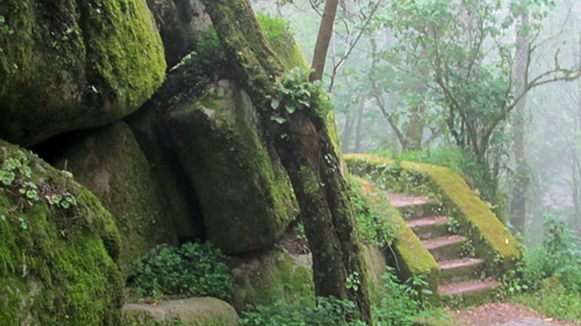 Parque da Pena en Sintra: Entrada