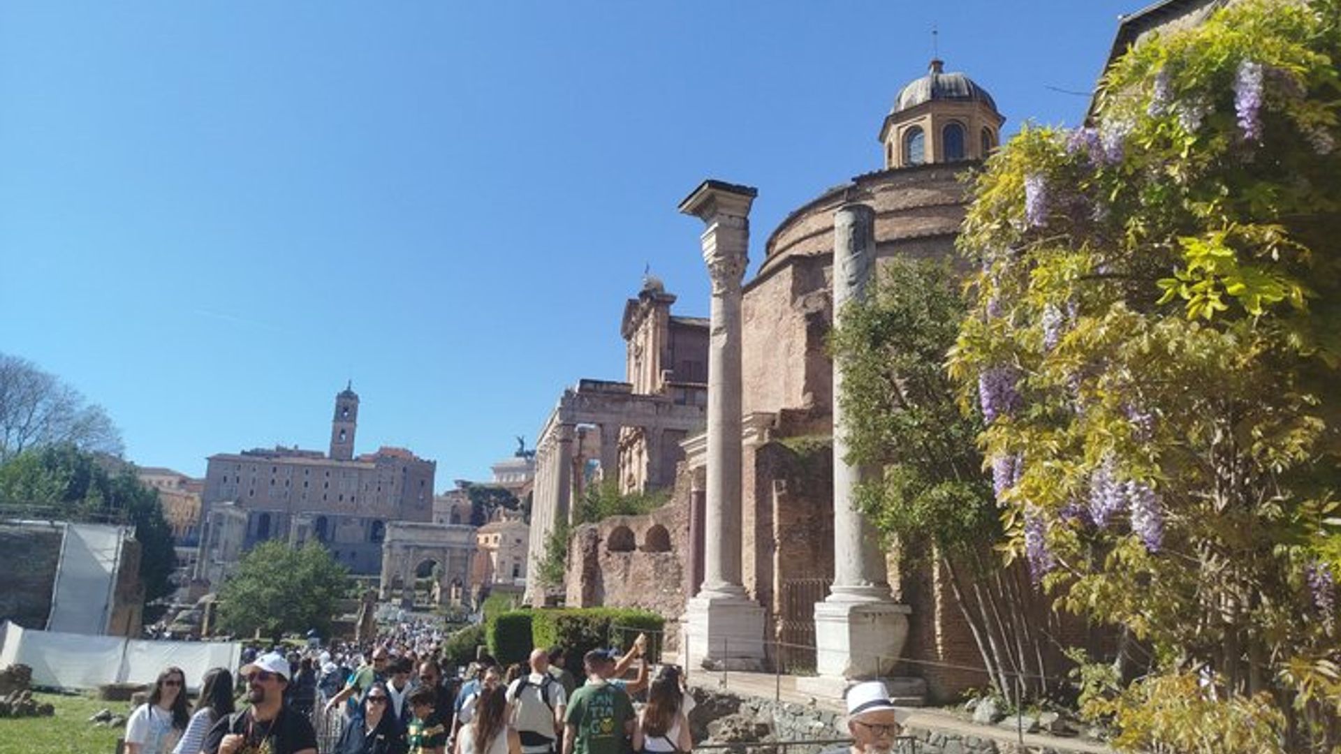 Roma: Tour pelo Coliseu, Fórum e Monte Palatino