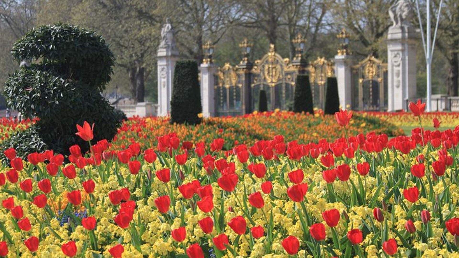 London Private Tour with Westminster Abbey, Tower of London image 2