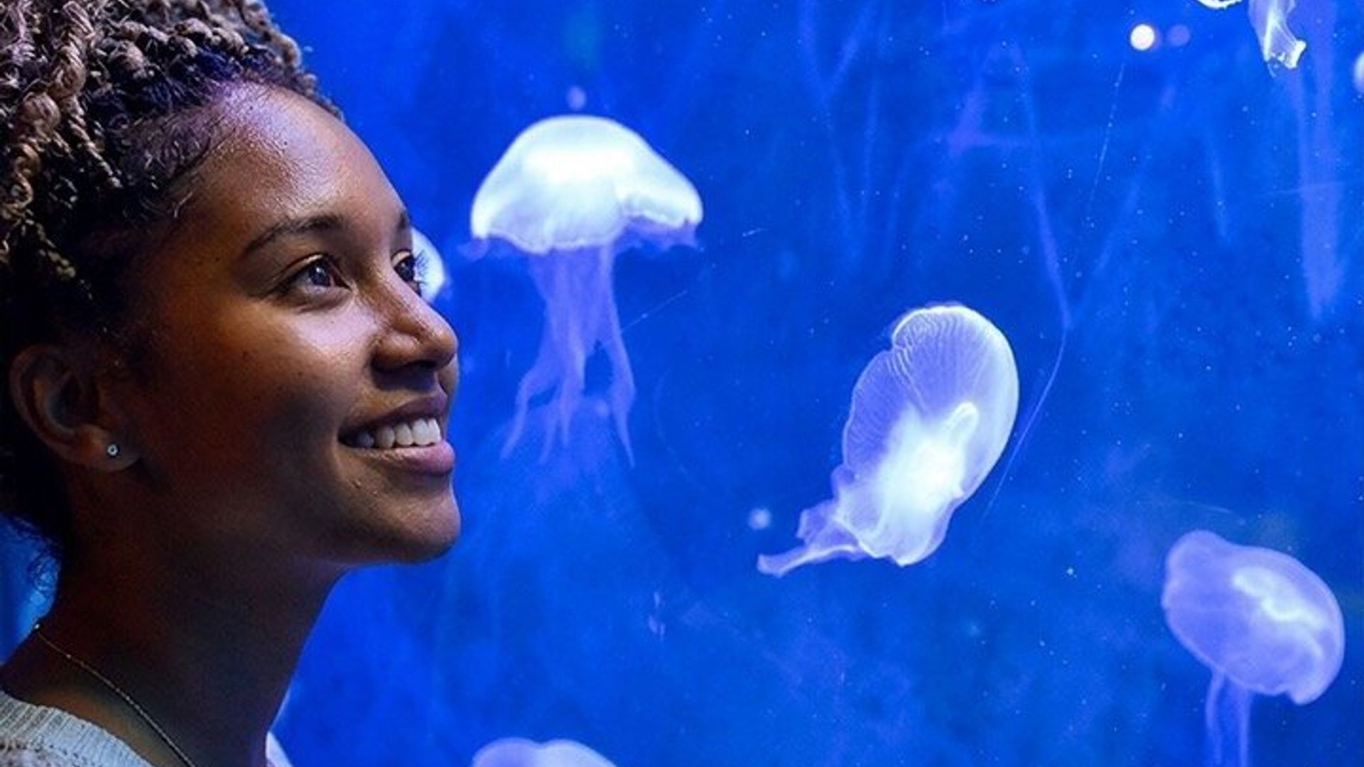 Point Louis Oceanarium of the Mascarene Islands Ticket
