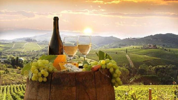 Florence Private Chianti Wine Tour