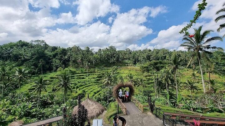 Bali Private Car Charter with Driver-Guide