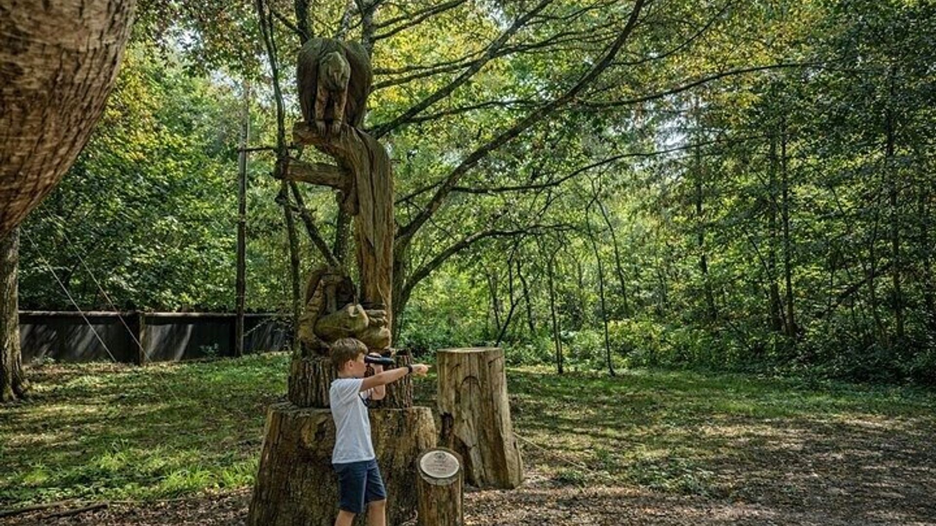 Von Safari bis Wikinger Eine Familientagestour