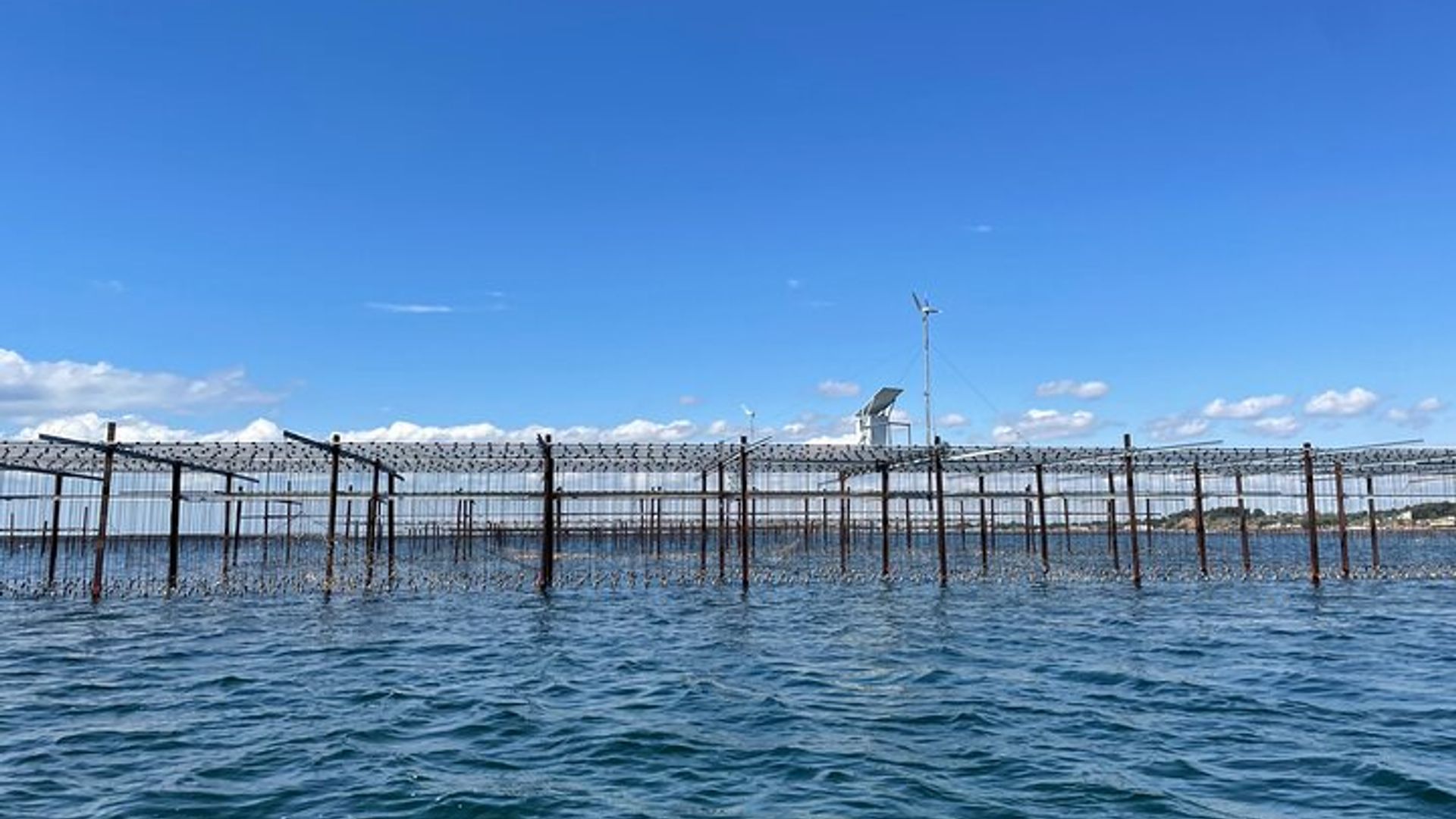 Excursión a Sète: Barrio de los pescadores y ostras