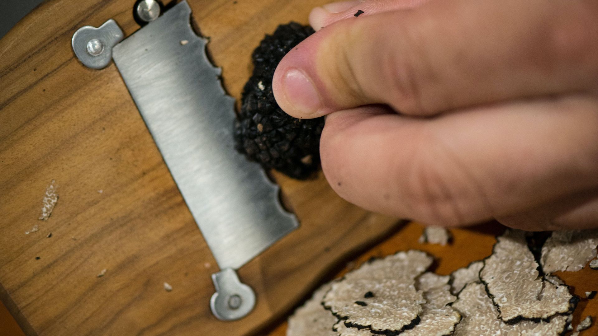 Burgundy truffle hunting demonstration and truffle tasting session