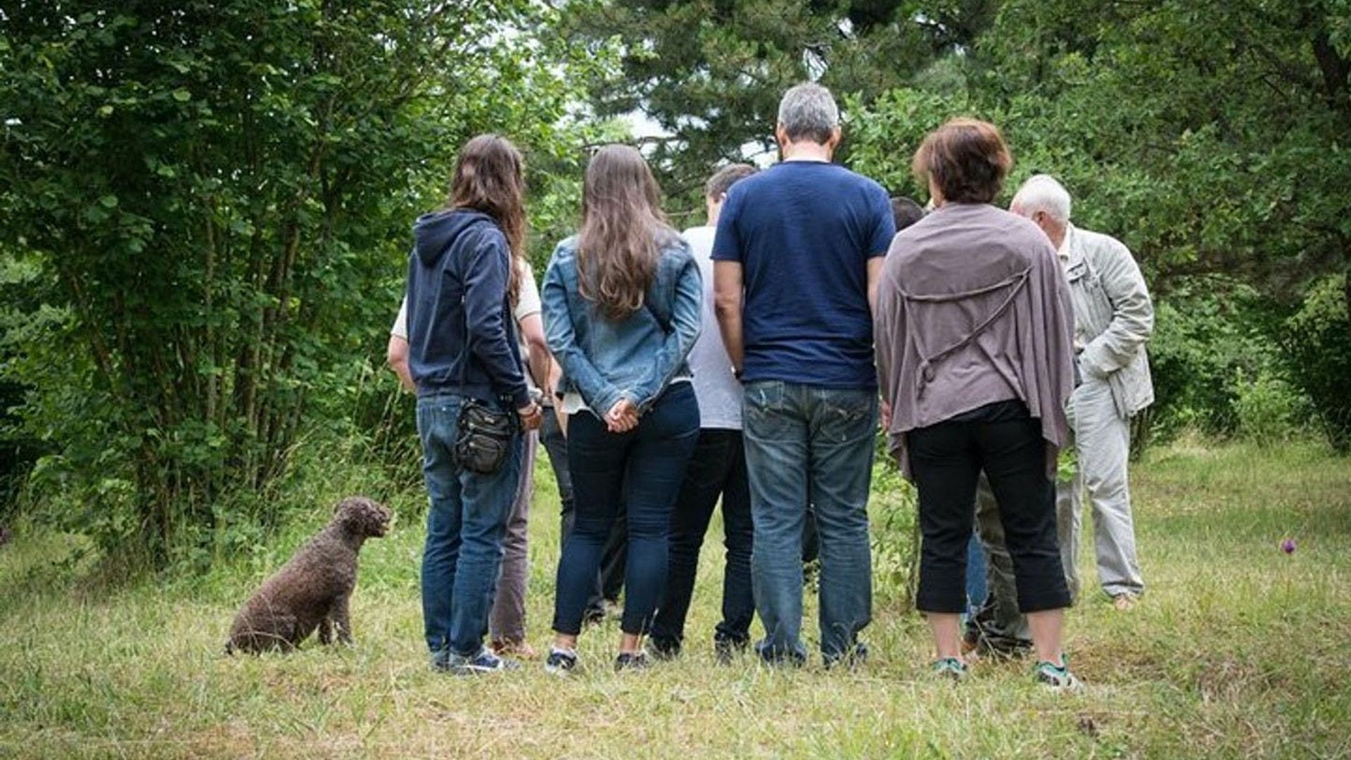 Burgundy truffle hunting demonstration and truffle tasting session