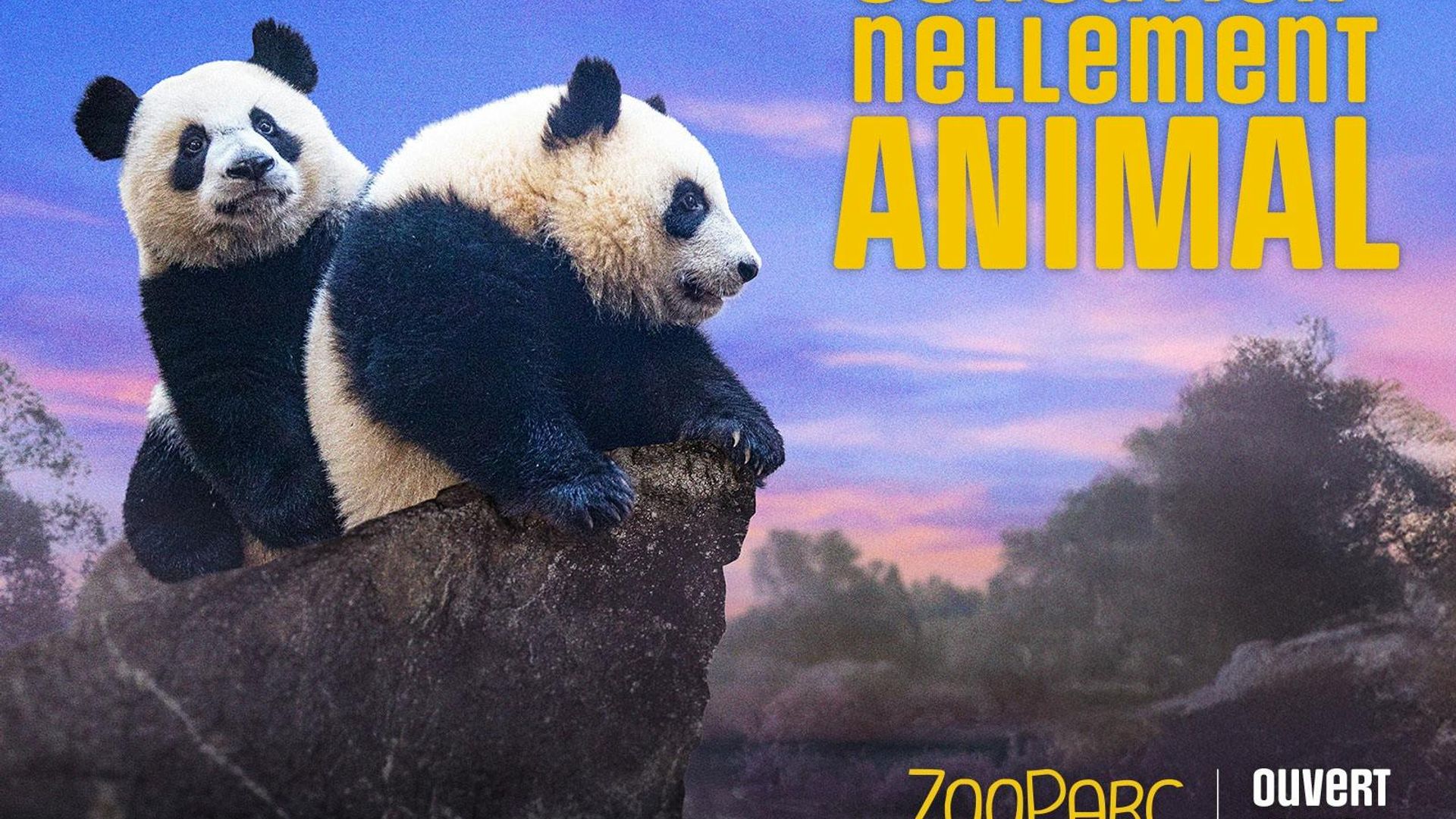 Entrance ticket for ZooParc de Beauval