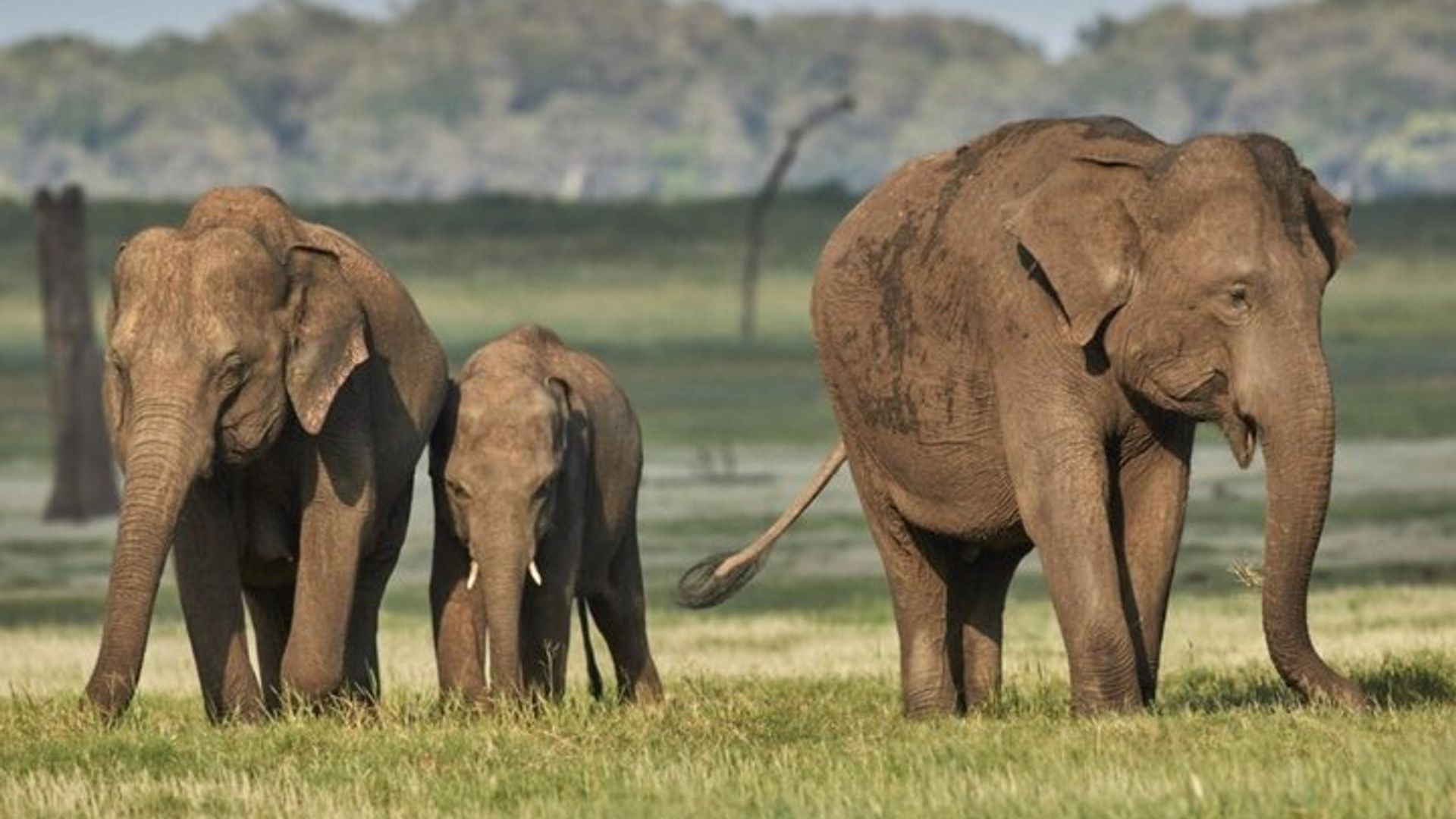 Garden Route Private 3-Day Trip With Botlierskop Safari