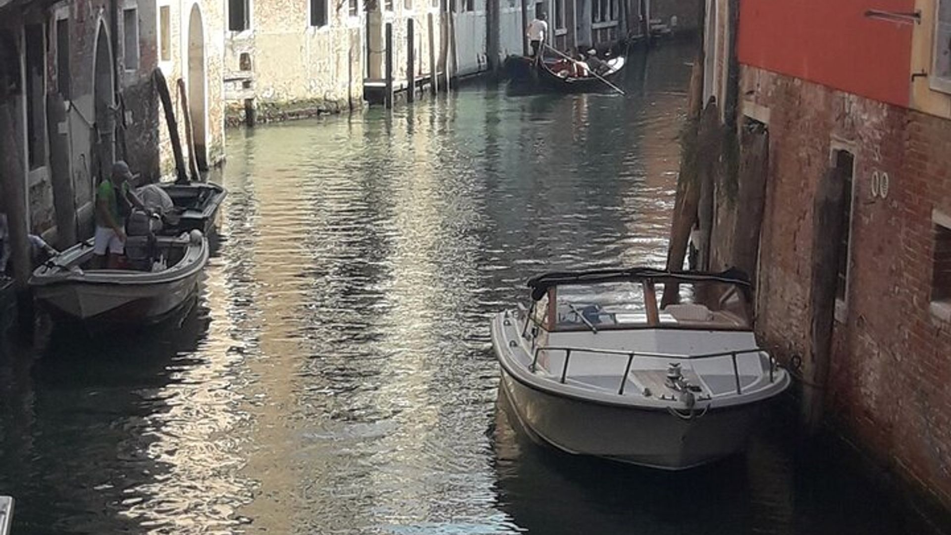 Venice Small-Group Food Tour: Drinks and Snacks With a Local