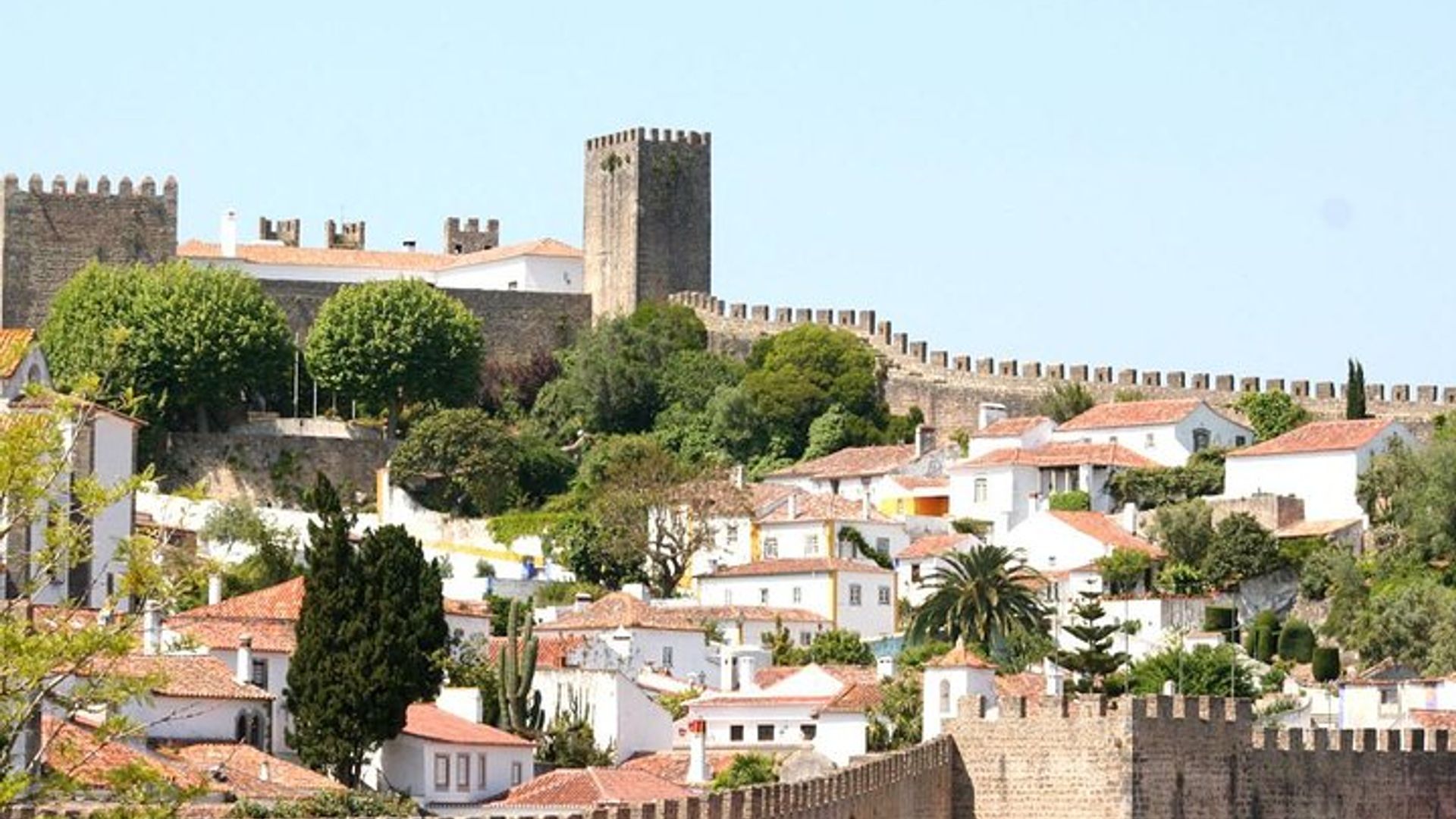 Visite privée: Découvrez la riche histoire médiévale d'Obidos