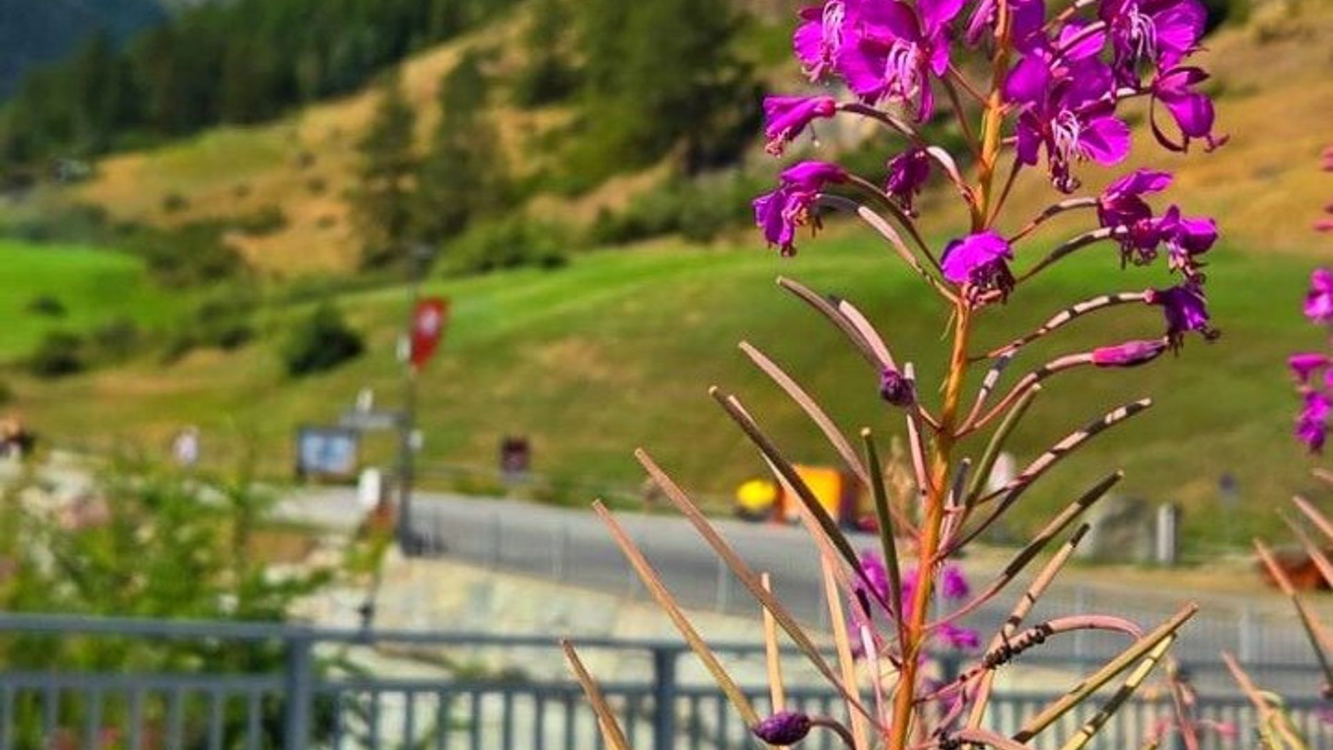 Lausana : Excursión de un día a Zermatt & Matterhorn con autobús Skyglass